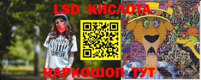 шишки Бузулук