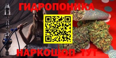 шишки Бузулук