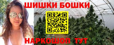 бошки Будённовск